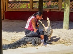 sunshine_tour_tag3_3 Motorradreisen USA Alligator