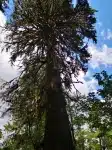 thumb_GC_Tag11_058