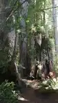thumb_GC_Tag14_108