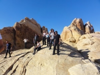 thumb_WW_Tag8_19 - Copy