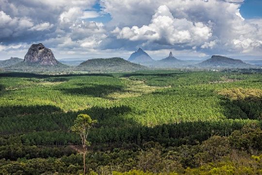 AUS Bundaberg 05