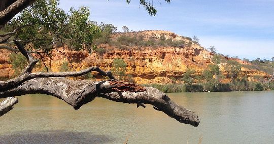 AUS Wagga 01