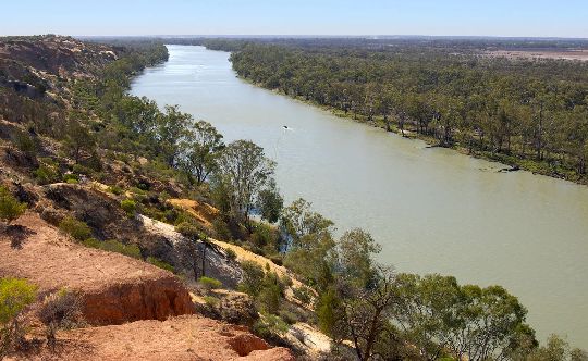 AUS Wagga 03