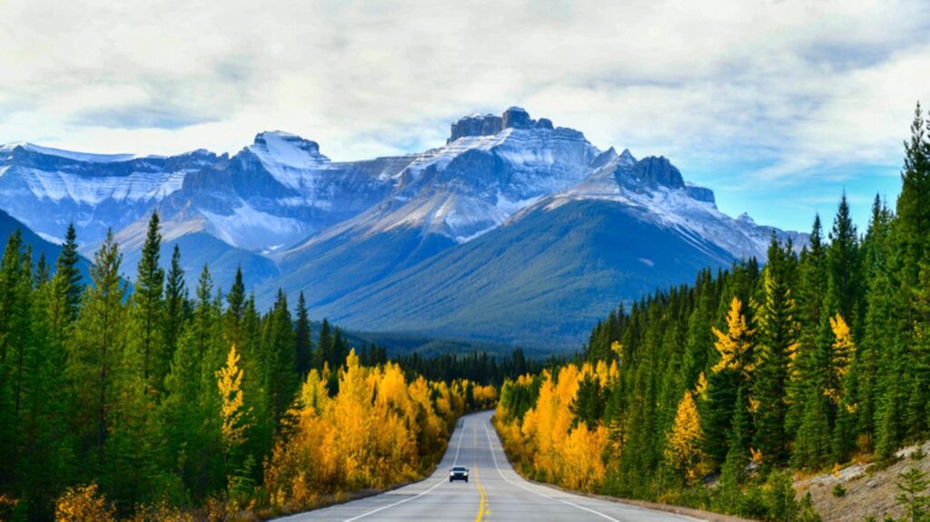 jasper-icefield-f-246087811-jpg--80854-